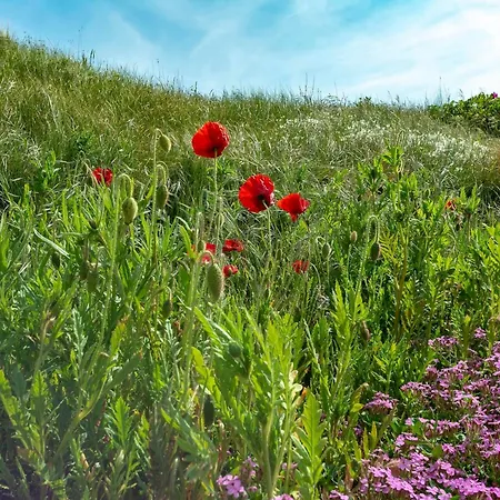 Strandleven 106 In Groote Keeten